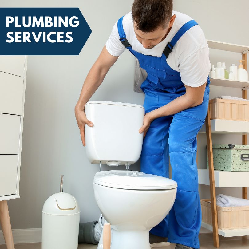 Plumbing Company in Wellington, IL